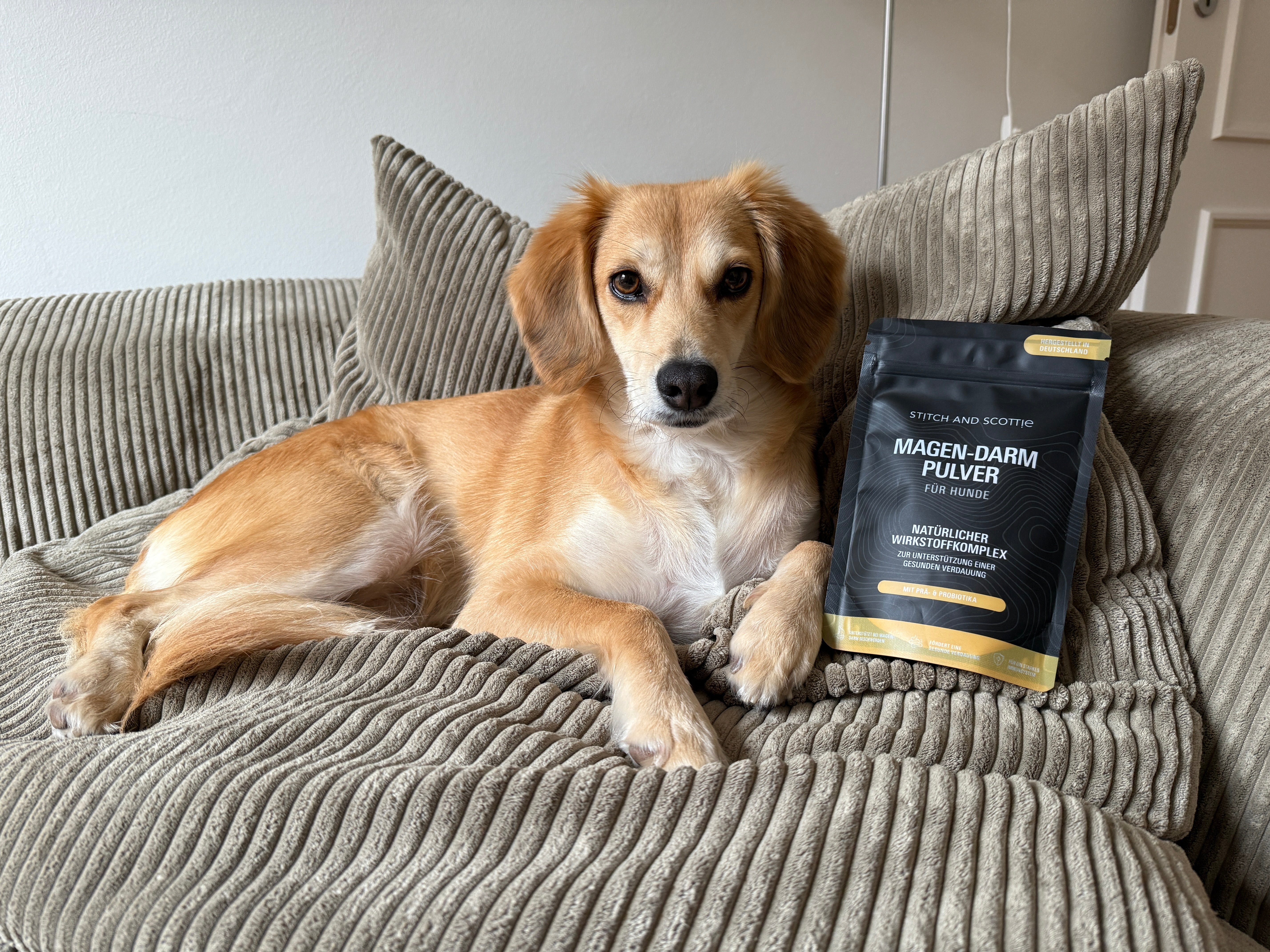 Hazels Leidengeschichte mit Happy End