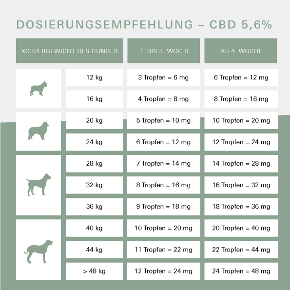 "Active Set" für große Hunde