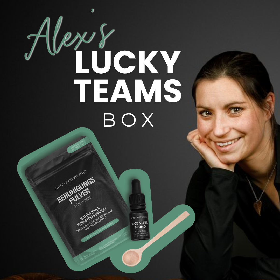 "Relax Set" für große Hunde