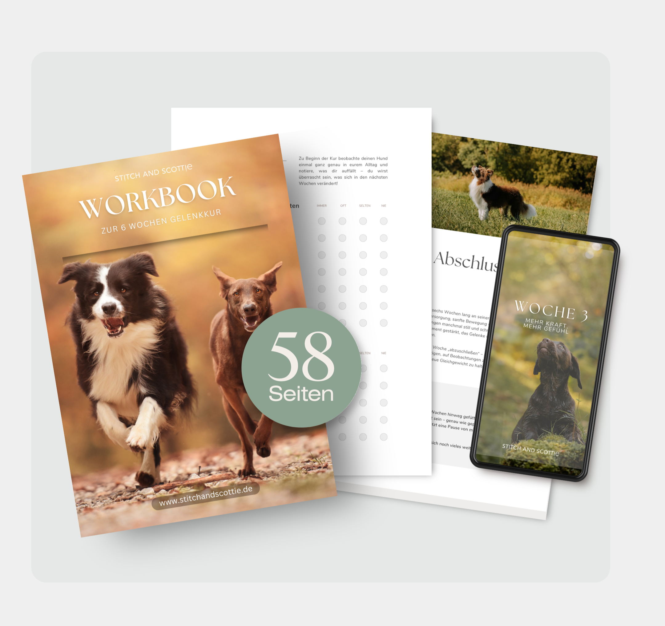 Gelenkkur für große Hunde (bis 45 kg)