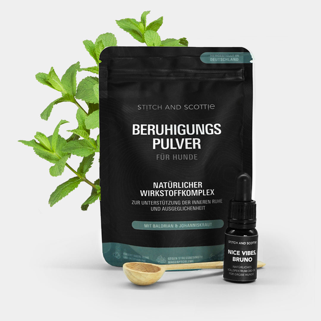 "Relax Set" für große Hunde