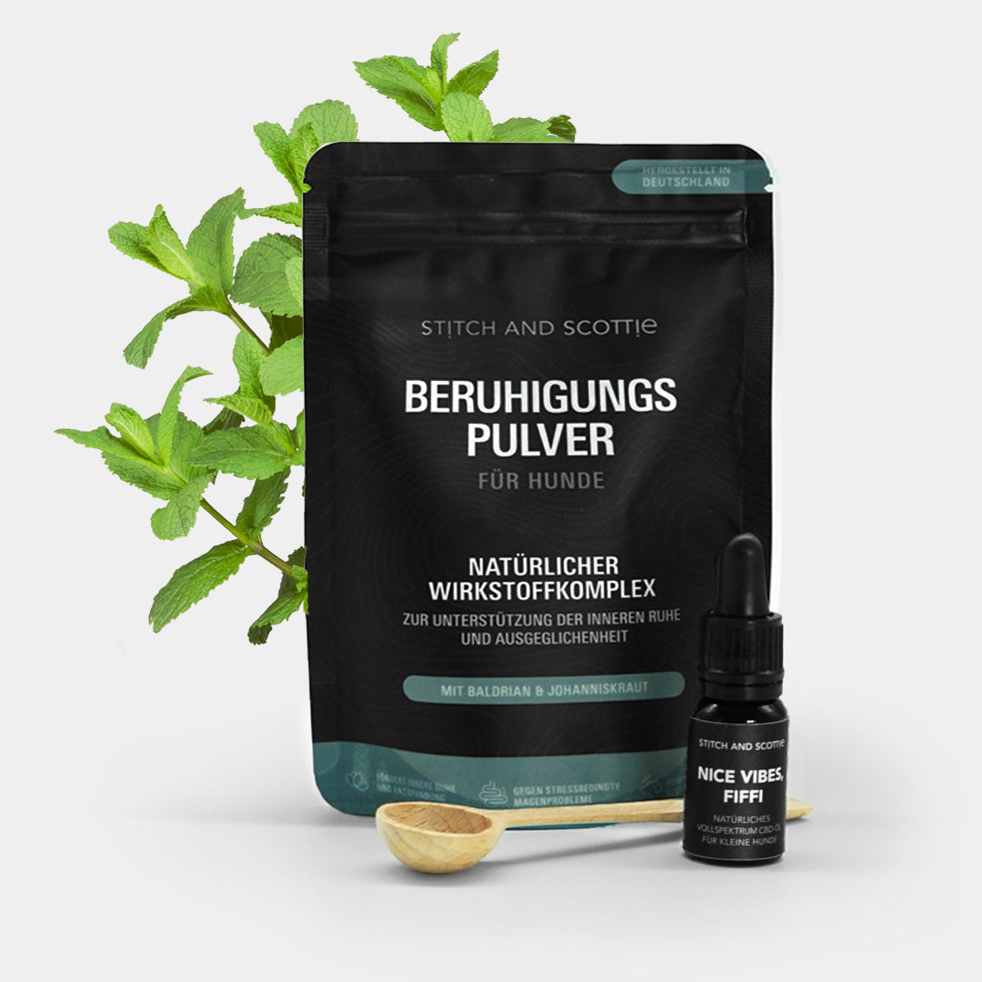 "Relax Set" für große Hunde
